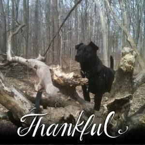 Meet your Posher, Candi